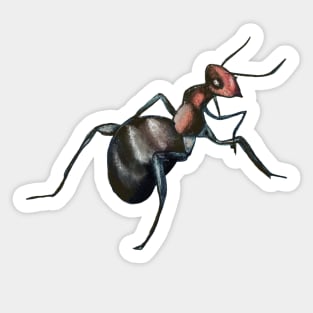 odorous ant Sticker